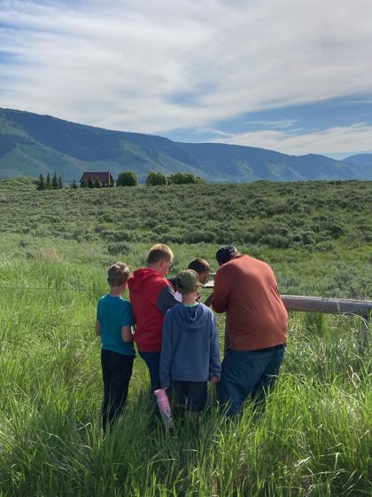 Mountain Bluebird Festival 2025