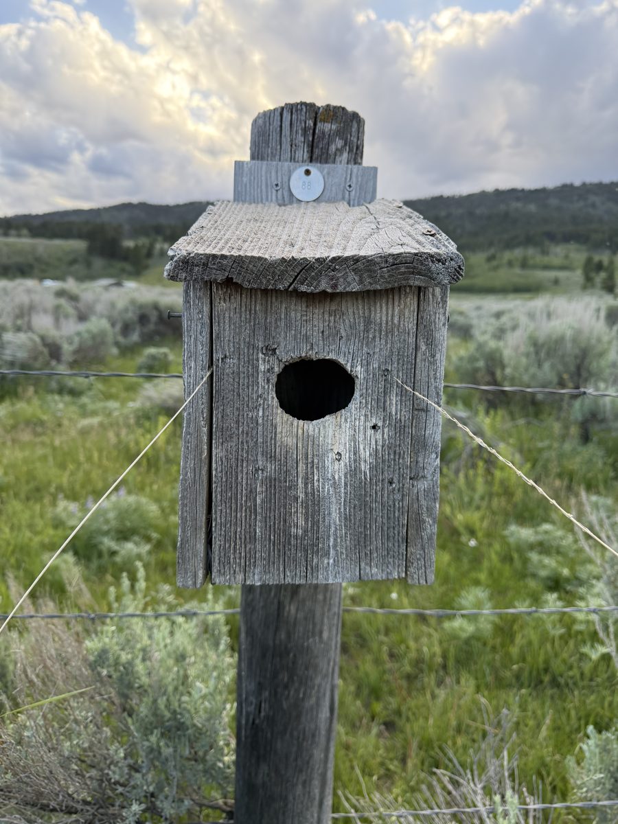 Box 88