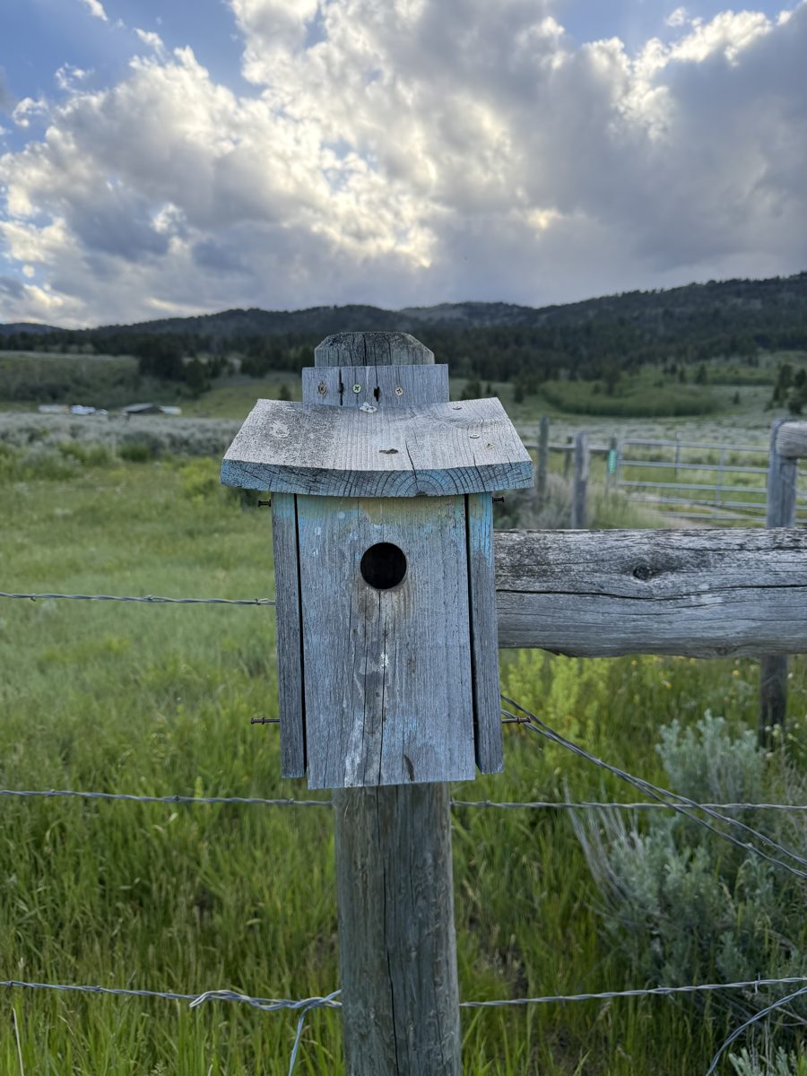 Box 117