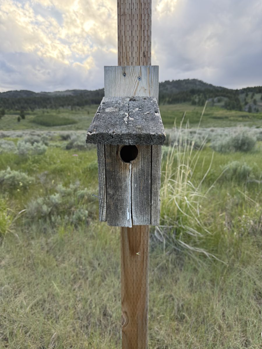 Box 115