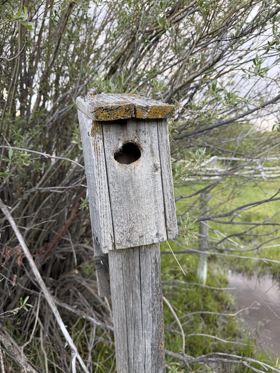 Box 77