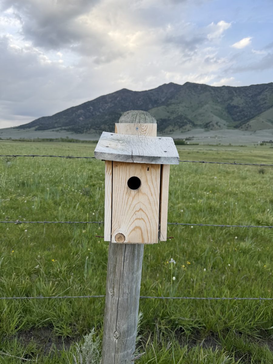 Box 76