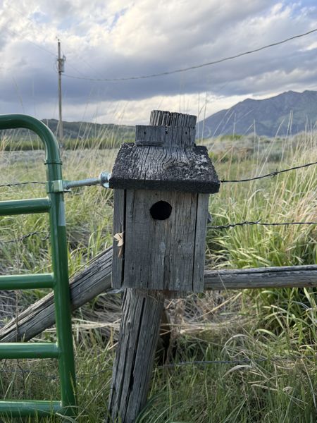 Box 4