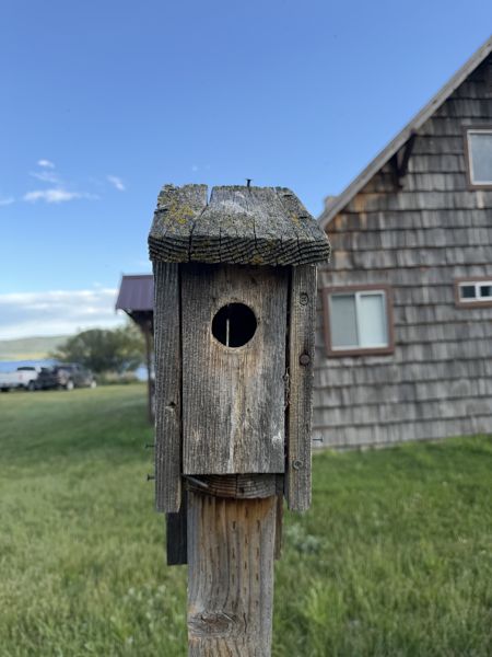 Box 103