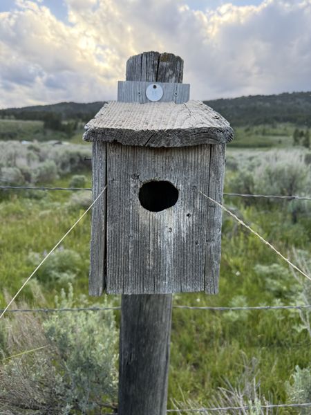 Box 88