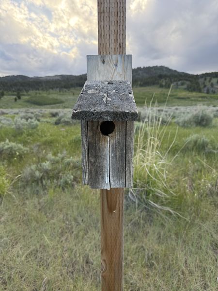 Box 115