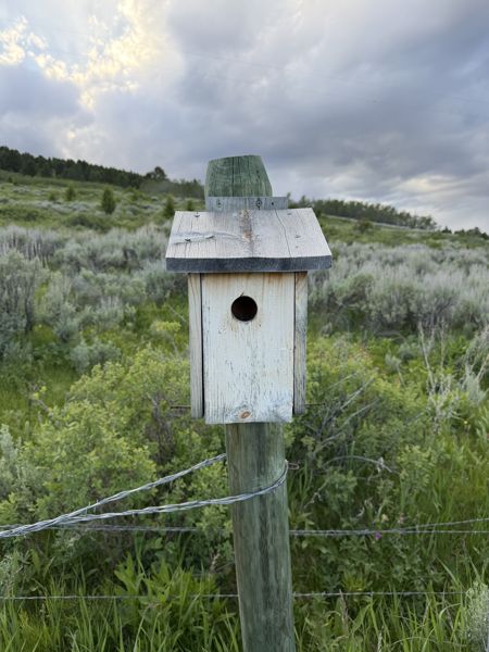 Box 111