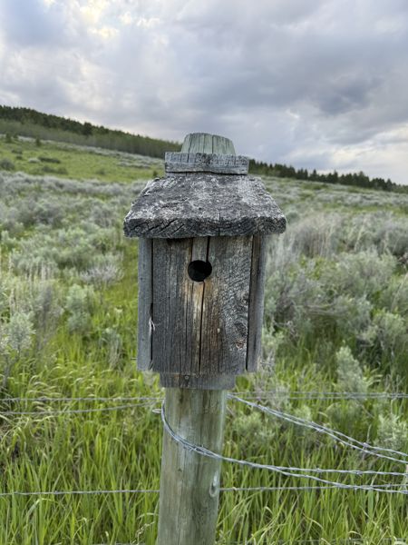 Box 85