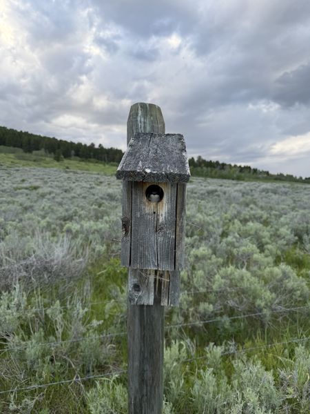 Box 84