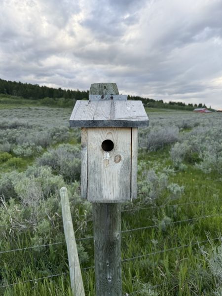 Box 83