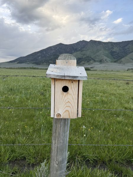 Box 76