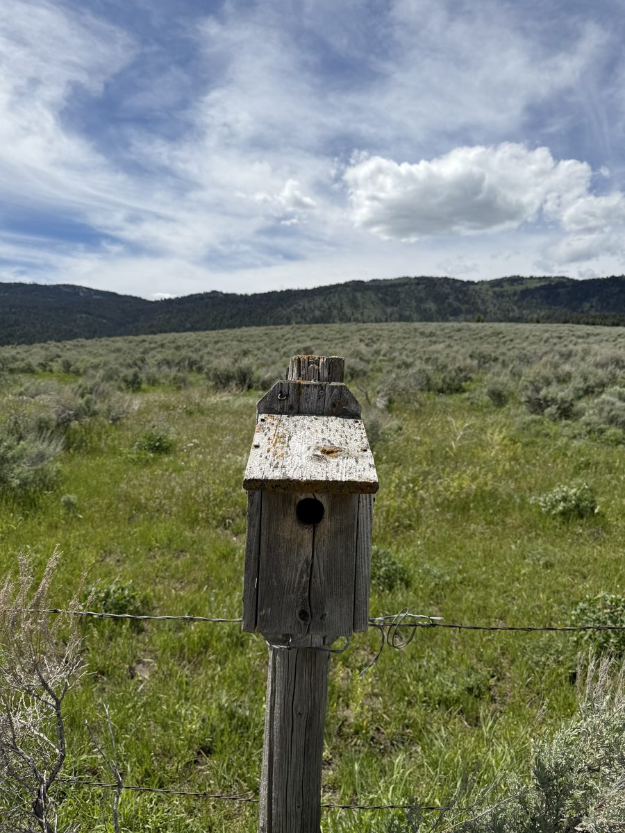 Box 12