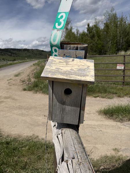 Box 7